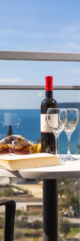高级公园酒店，位于杜布罗夫尼克的酒店