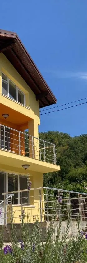 Villa Rosa，位于Krayni Dol的酒店