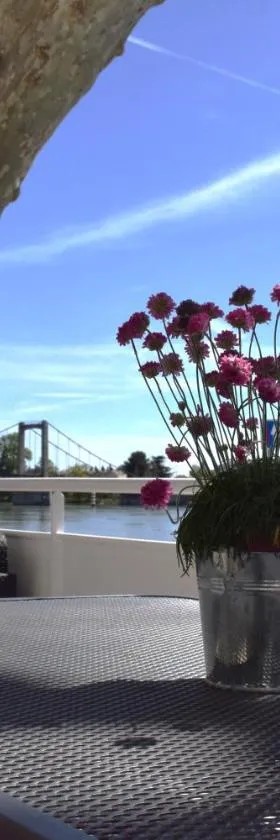 La Bâtie - Terrasse avec Vue imprenable sur le Rhône, 3 chambres, 3 salles de bain，位于坦耶尔米塔格的酒店