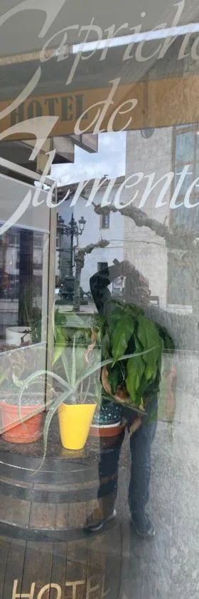 EL CAPRICHO DE CLEMENTE，位于Soncillo的酒店