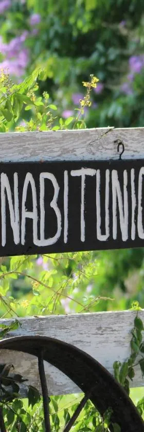 Nabitunich，位于圣伊格纳西奥的酒店