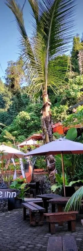 Jungle Inn Bukit lawang，位于武吉拉旺的酒店