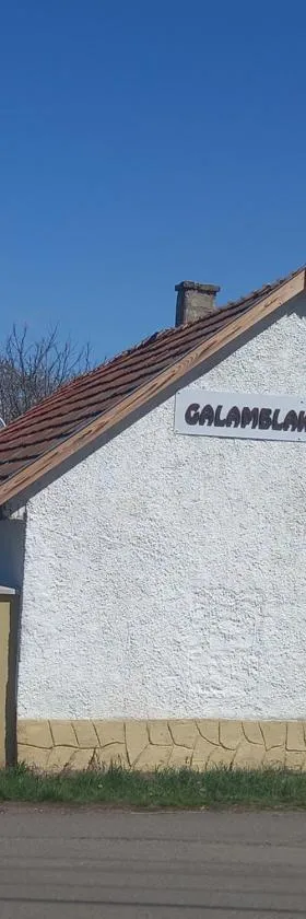 GALAMBLAK Vendégház，位于Abaújszántó的酒店