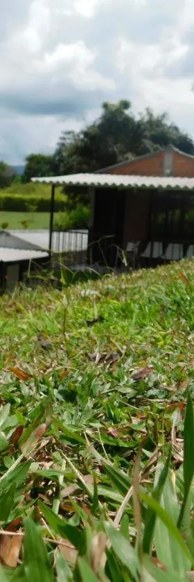Casa Campo alojamiento campestre para descanso en Calarcá Quindío，位于Potosí的酒店