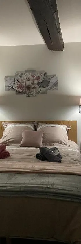 Chez la p'tite Marie，位于萨维尼莱博恩的酒店