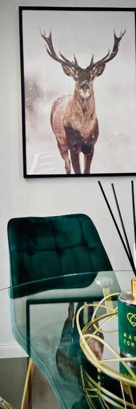 DeerHome Apartment，位于黑杜纳耶茨的酒店