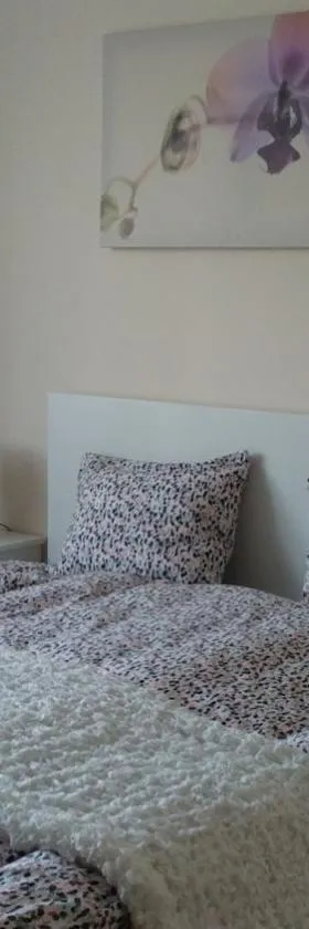 River Side Apartman，位于考洛乔的酒店