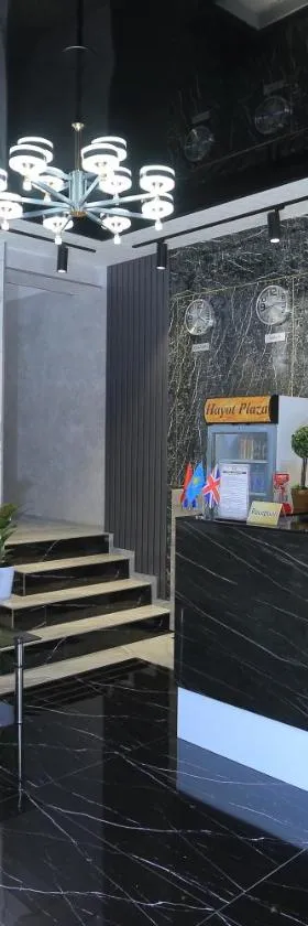 Hayot Plaza Hotel，位于Yunusobod的酒店