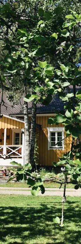 Ollilan tupa Joensuun lähellä，位于Ylämylly的酒店