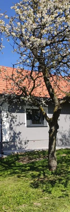 Venkovský dům Dolní Přím，位于Dolní Přím的酒店