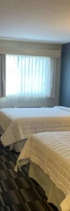 Best Western Inn，位于Rice Lake的酒店