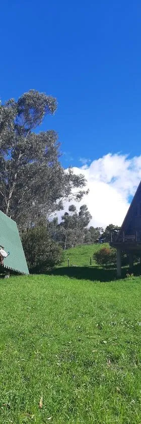 Animals Glamping，位于瓜斯卡的酒店