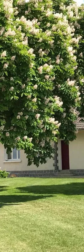 Chambre d'hôtes à la campagne，位于Coings的酒店