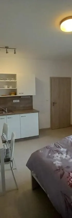 Penzion U strejčků，位于卢日尼采河畔韦塞利的酒店
