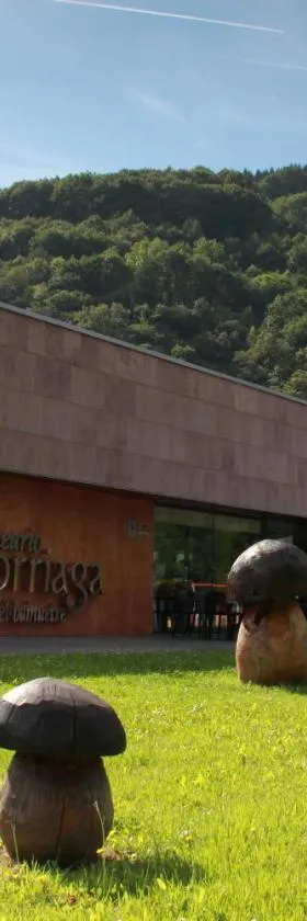 巴尔纳里奥厄尔格利伽酒店，位于埃尔戈里亚加的酒店