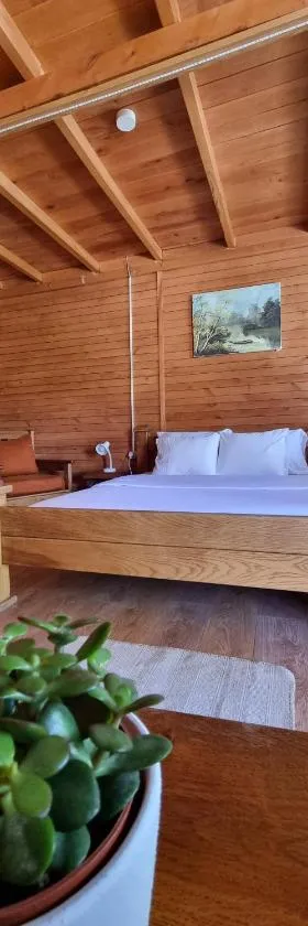 Carev konak，位于兹德罗的酒店