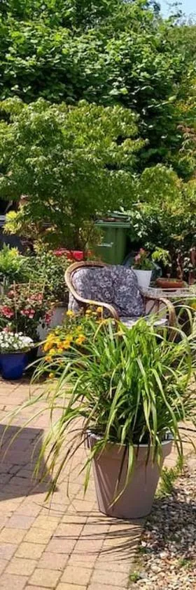 Cobweb Cottage Studios，位于Spooner Row的酒店