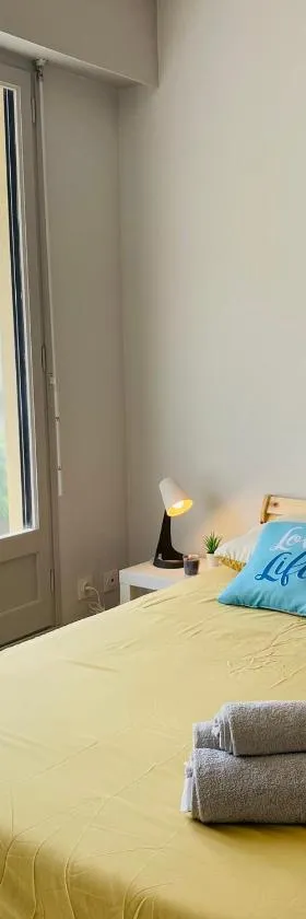 KASA VOYTIER Parking privé & Wifi - Balcon & Ascenseur，位于Saint Etienne的酒店