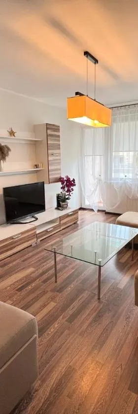 Airida forest apartament，位于德鲁斯基宁凯的酒店