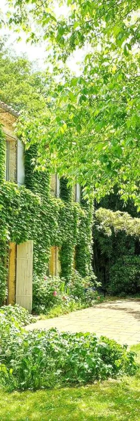 Chambre d'hôtes Le Moulin de Moulis，位于Moulis-en-Médoc的酒店