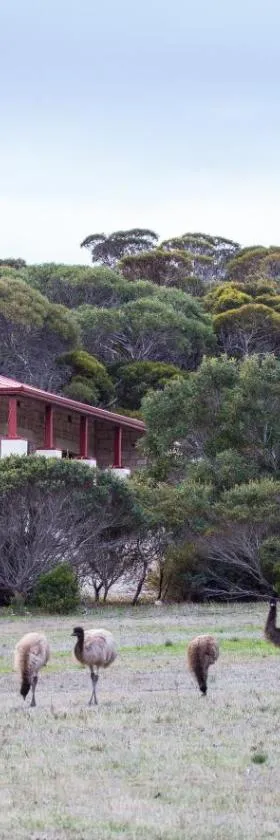 Engineers Lodge - Dhilba Guuranda-Innes National Park，位于Inneston的酒店