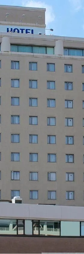 HOTEL LiVEMAX BUDGET Kagoshima，位于鹿儿岛的酒店
