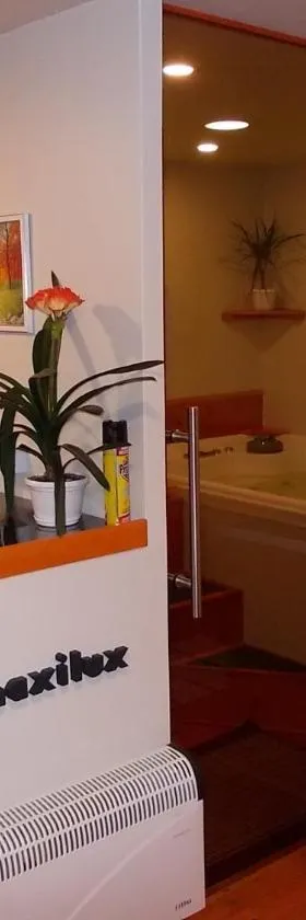 马克西鲁公寓，位于拜赖克菲尔德的酒店