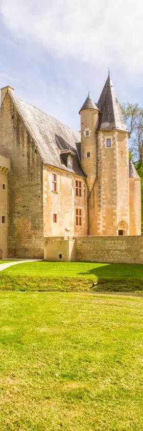 Château de Vieux Moulin，位于Vielmanay的酒店