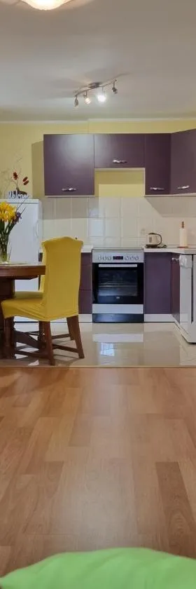 Apartment Sanja，位于帕津的酒店