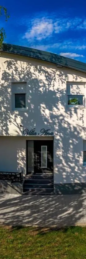 Villa Ana Bački Petrovac，位于巴奇基彼得罗瓦茨的酒店