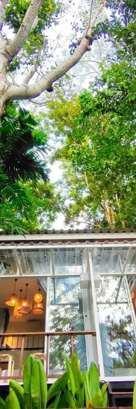 Rain Forest Resort，位于Ban Pak Yang的酒店
