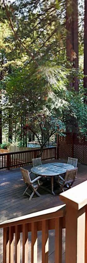 Wagging Woods，位于Cazadero的酒店