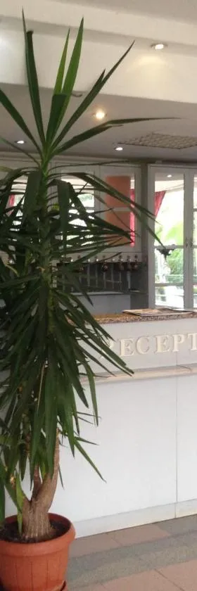 Négy Évszak Panziò，位于希欧福克的酒店
