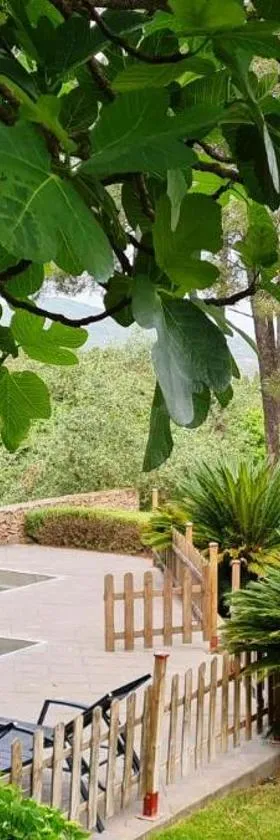 Casa Rural Sierra de Aguafría. Finca El Robledillo，位于莫内斯特里奥的酒店