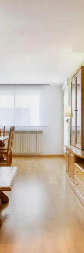Apartamentos IRENE en el Pirineo Aragonés，位于沙比纳尼哥的酒店