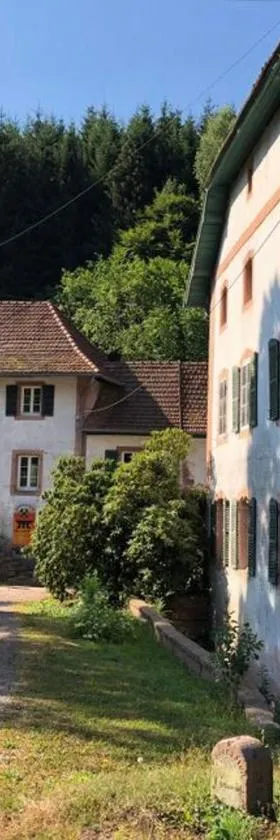 La Demeure des Forges，位于格兰德冯泰尼的酒店