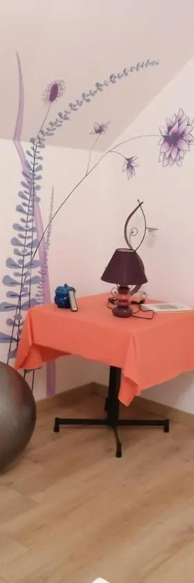 Chez Nicole，位于Ballon的酒店