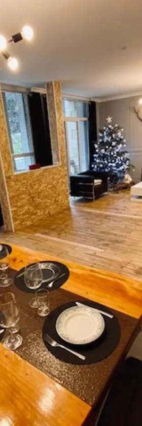 L'Olympique, Appartement 8 voyageurs avec parking，位于萨维尼亚克莱奥尔莫的酒店