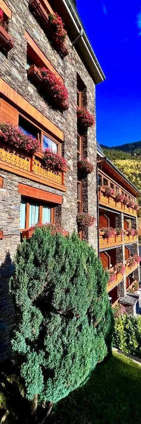 Hotel & SPA Bringué，位于奥尔迪诺的酒店