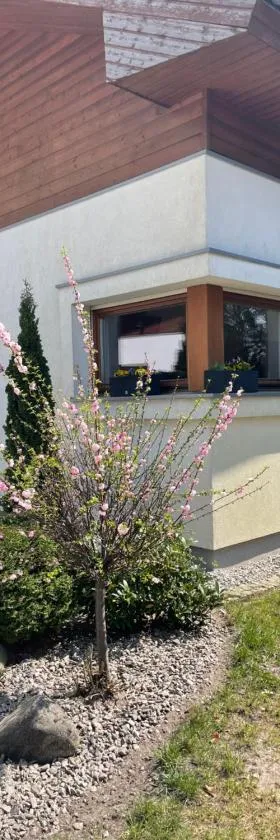 Apartament przy lesie，位于Chojno的酒店