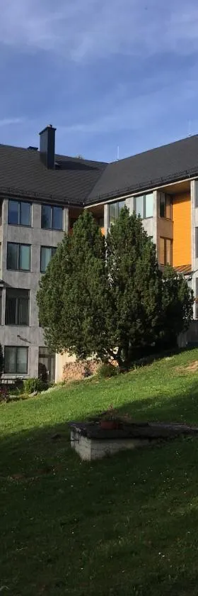 EA Hotel Lipno，位于塞尔纳珀苏马维的酒店