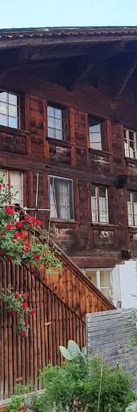 Haus Bergmann，位于博尔蒂根的酒店
