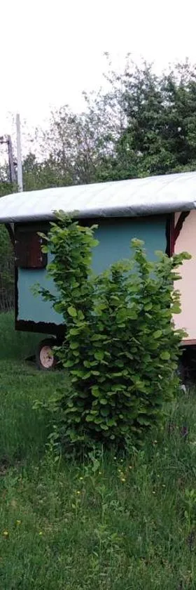 Shepherd's hut in nature，位于Vojnić的酒店