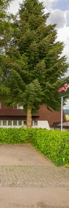 Hotel Swiss Views，位于Hemberg的酒店