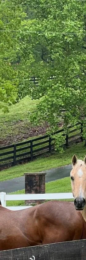 Nicura Ranch Inn & Stables，位于伯里亚的酒店
