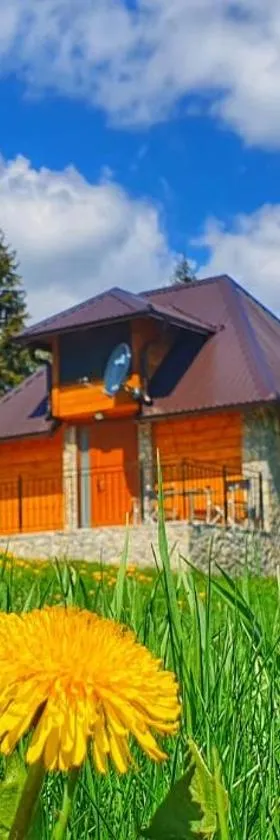 Apartmani Nišićka Oaza，位于萨拉热窝的酒店