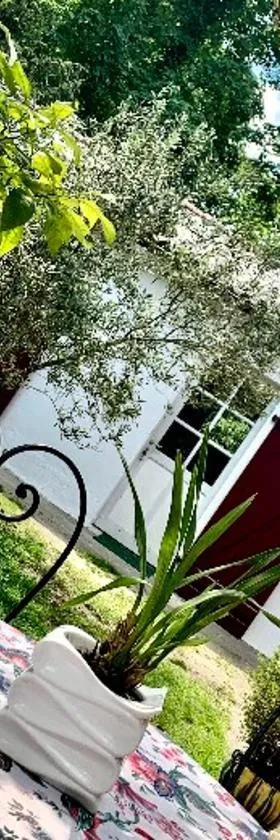 Studio à Linxe entre terre et océan，位于Linxe的酒店