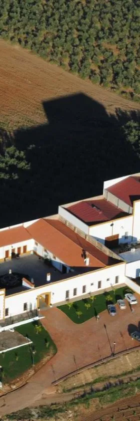 Hotel Bodega el Moral，位于Ribera del Fresno的酒店
