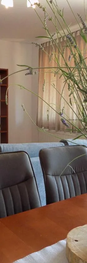 Apartman Borna，位于瓦比尼科的酒店
