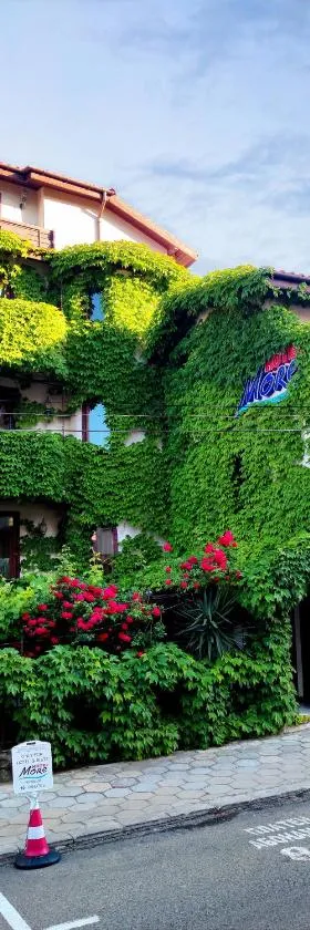 More Family Hotel，位于索佐波尔的酒店